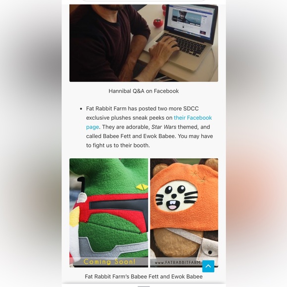 NWT San Diego Comic Con 2015 Ewok Babee RARE Fat Rabbit Farm Handmade - Picture 6 of 6